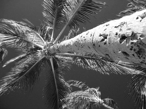 245_4543_edited-1-1