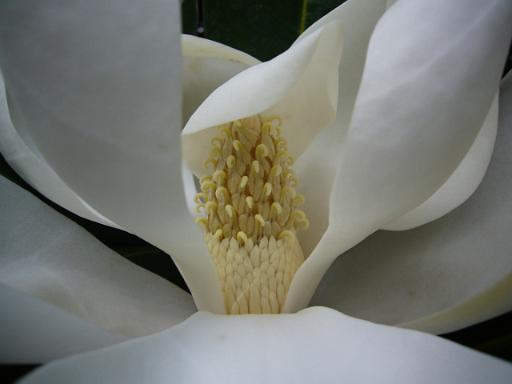 P1050399-1