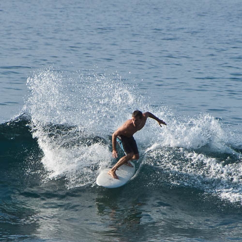 Surfer at Honl's