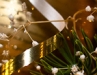 Hotel Tree