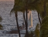 Going to Maui
