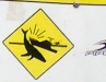 whale watch sign