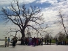 Kennedy Grave Site  - Arlington Cemetery