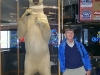 Juneau Airport Carlton and Stuffed Bear