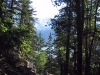 Trail to Lower Dewey Lake