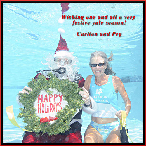 2009 Yuletide Card xmas2009x