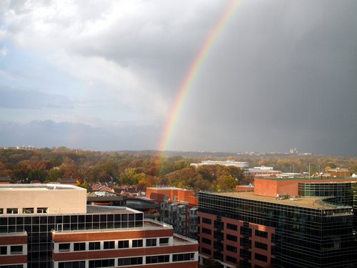 rainbow out my bedroom window