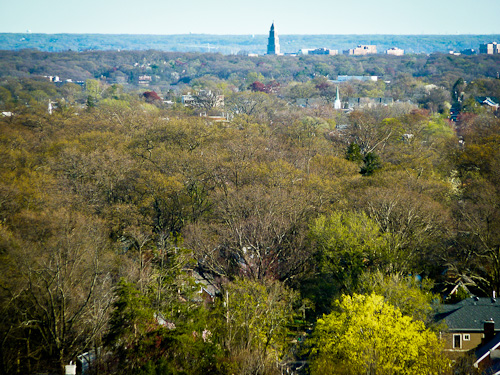 P1090229