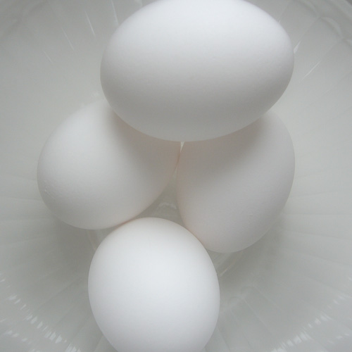 color eggs.