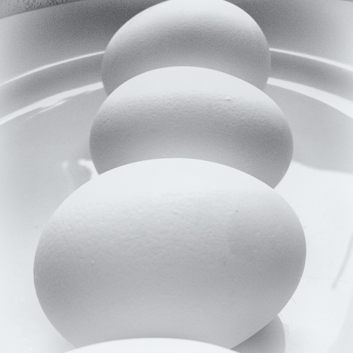 Day 16 - what eggs again?