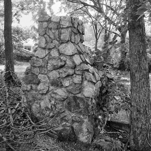 Day 43 - Ordinary Walk in the Woods