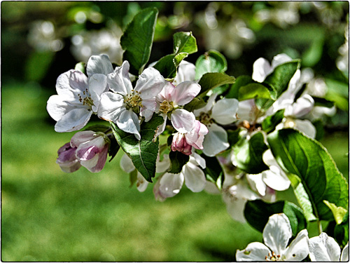 P1110027-Edit