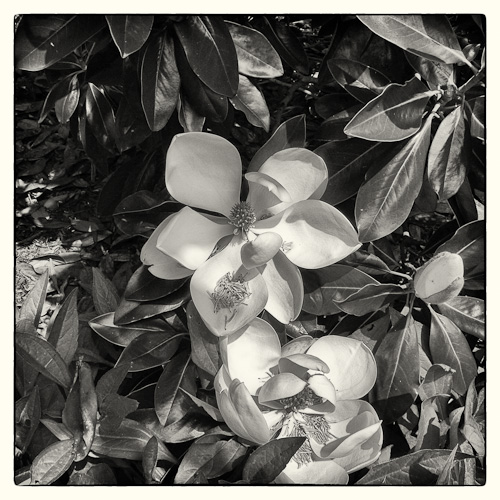 P1000246-Edit