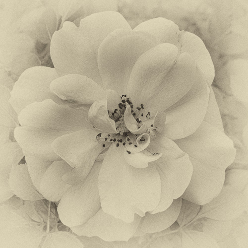 P1000174-Edit