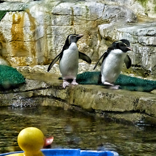 P1000972-Edit
