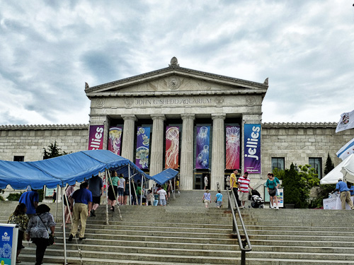 Outside Shedd Aquarium