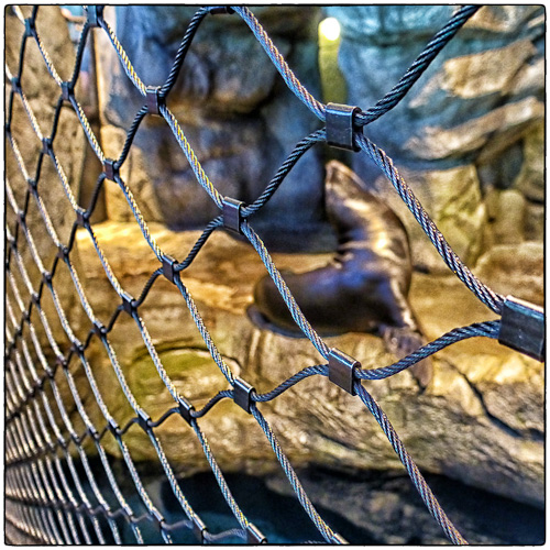 P1000948-Edit