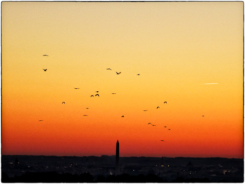 Sunrise Series #7