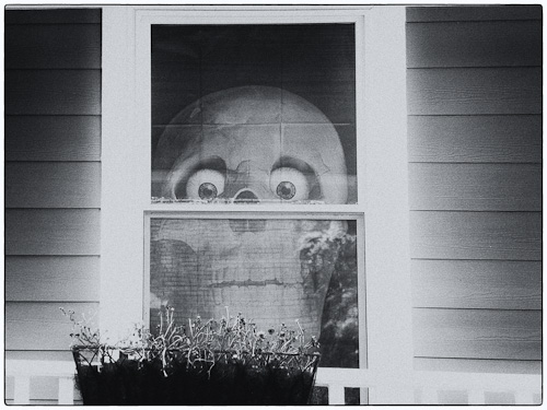 Halloween Decorations