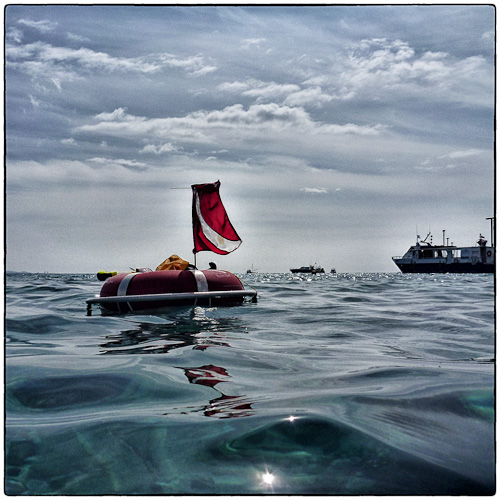 P1050746-Edit