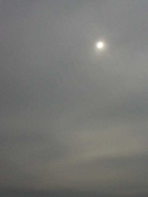 VOG