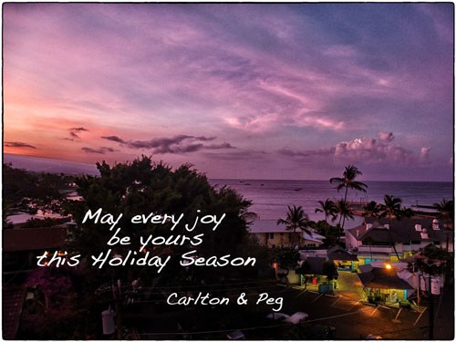 Happy Holidays and a Happy New Year Mele Kalikimaka Hau’oli Makahiki Hou