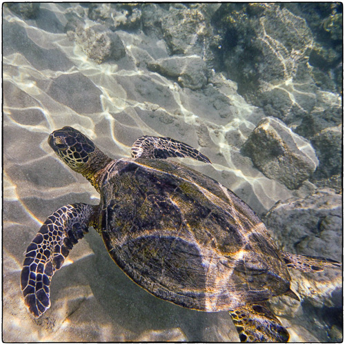 And off we go for a little swim.