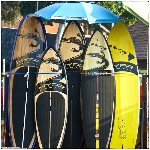 paddle boards for rent