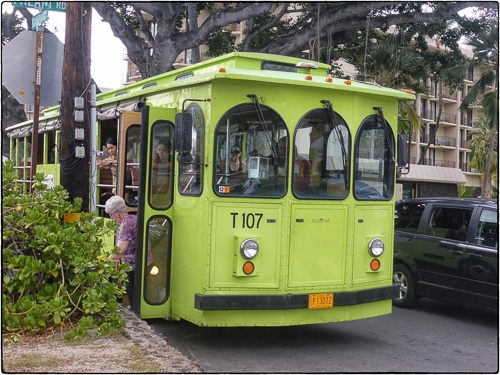 Honu (turtle) Bus