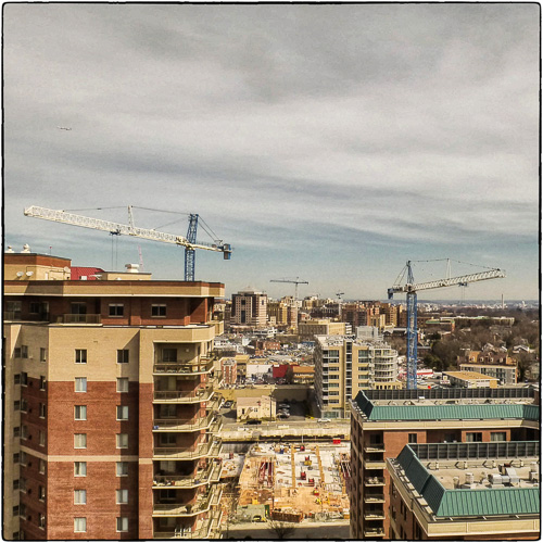 Cranes out the kitchen window.