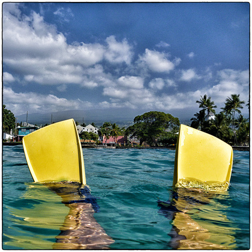 Can you have SAD in the summer?