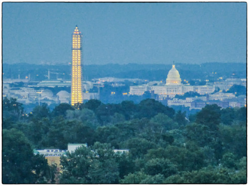 Monumental Scaffolding