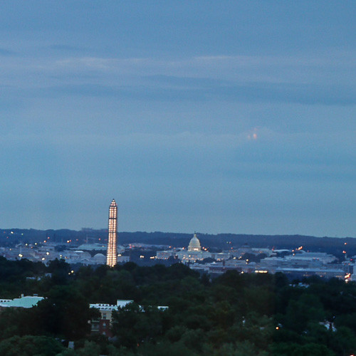 L1 this morning still on tripod but inside the window.