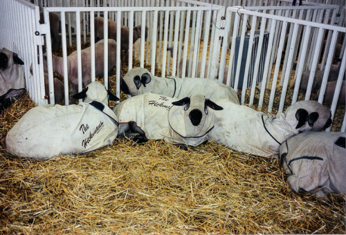 ND State Fair