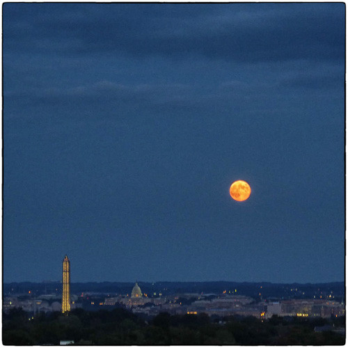 Harvest Moon Over DC