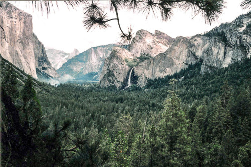 Yosemite 1996