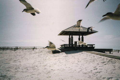 Gulf Islands National Seashore - 1992