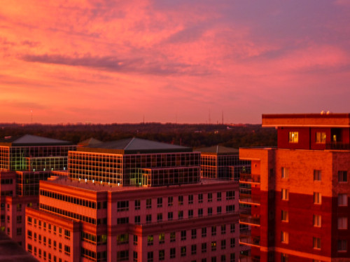 Even our near neighbor buildings look nice and pinky.