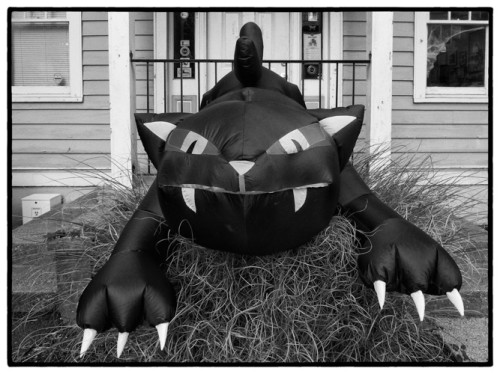 It's beginning to look a lot like Halloween.
