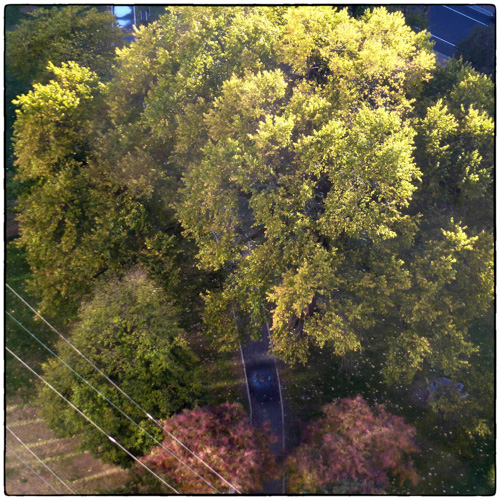 Looking down on our little park.