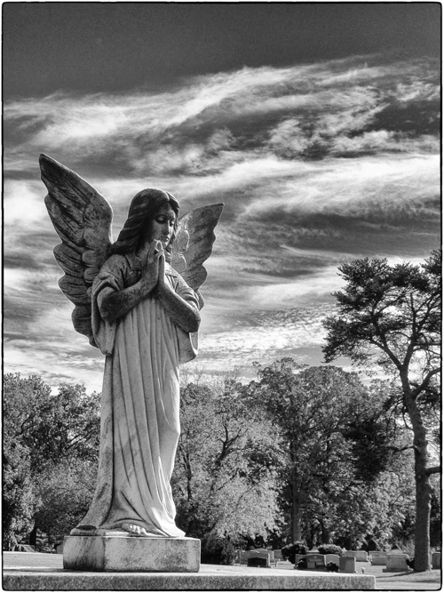 One of the usual suspects. This angel is always willing to pose for a photograph.
