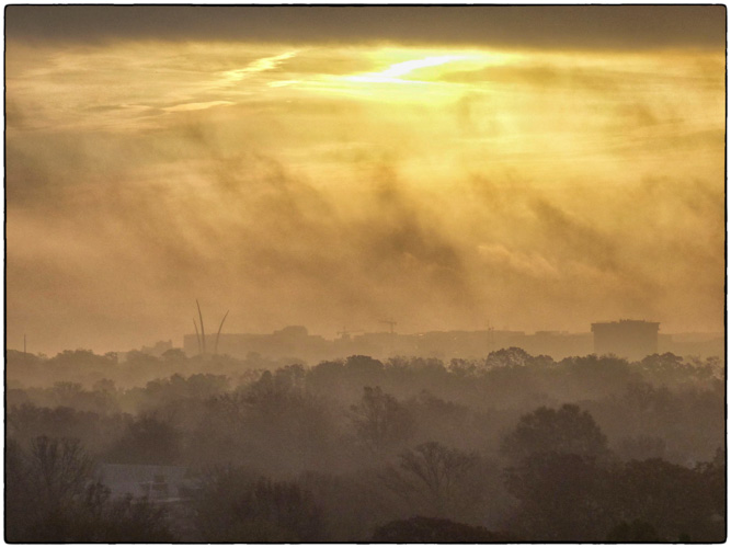 Foggy Sunday