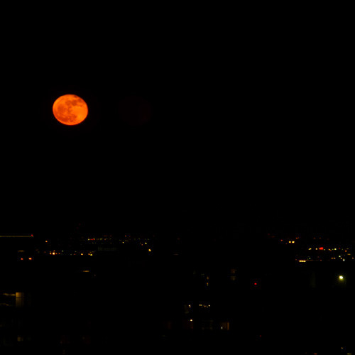 Holiday Moon