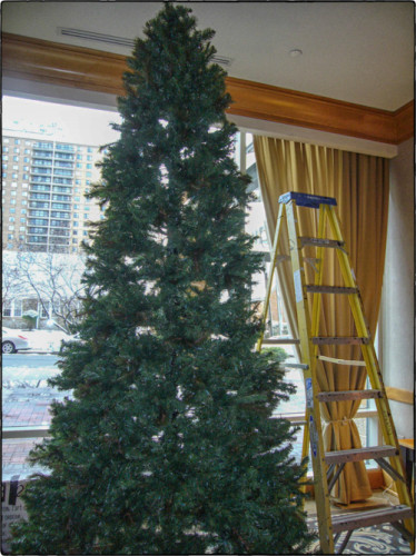 "our" tree