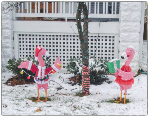 Having a flamingo xmas