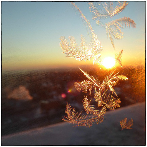 Ice Crystals in the cracked window again today.