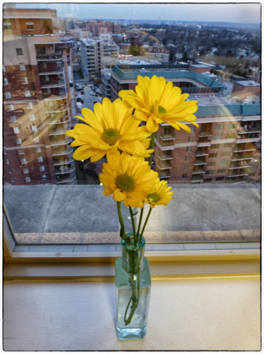 You don't need a whole bunch of flowers to cheer up a tiny kitchen.