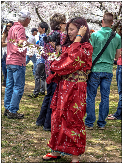 under the cherry trees