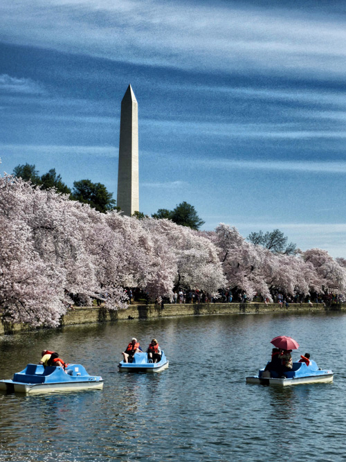 DC - this morning
