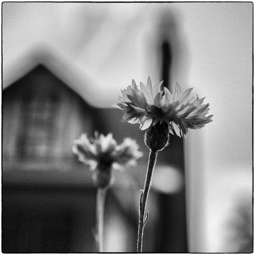 P1120732-Edit